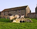West Leas Farm, Self catering cottage, Ripon