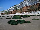 Old Manor Cottage, Self catering cottage, Hunstanton