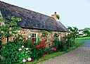 Primrose Cottage, Self catering cottage, Narberth