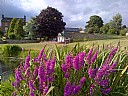 Offcote Grange Cottage Holidays, Self catering cottage, Ashbourne