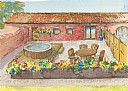 The Conker Barn